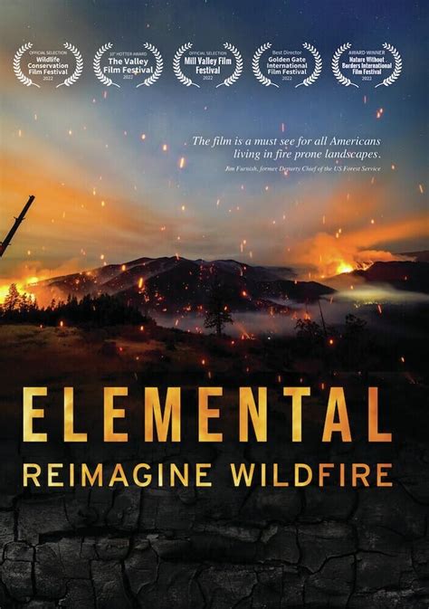 elemental wildfire movie.
